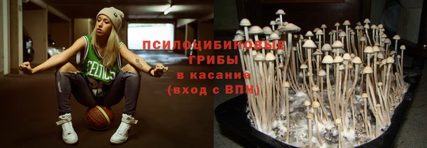 кокс Баксан