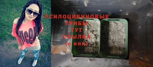 кокс Баксан